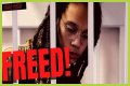 Understanding Gender Identity: The Case Of Brittney Griner's Biological Sex